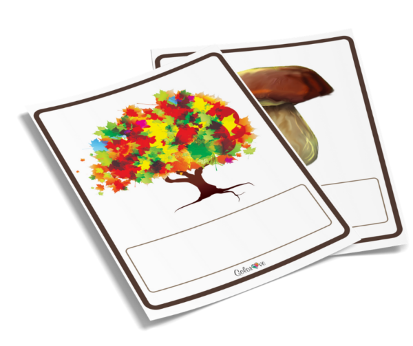 Autumn - Karty obrazkowe PDF - obrazek 2