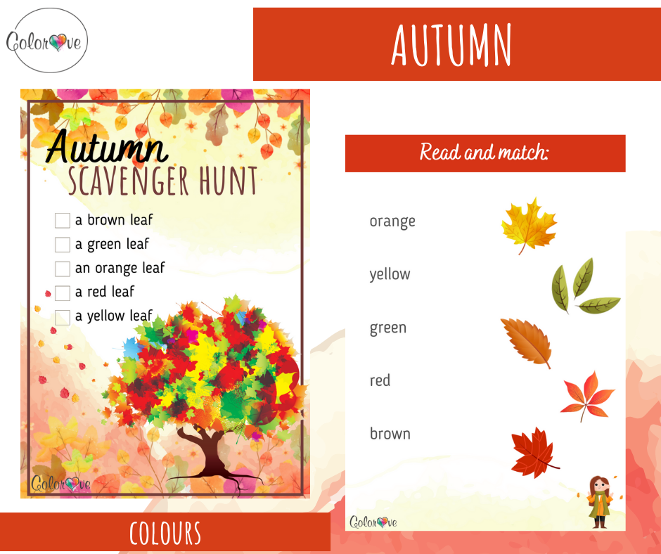 Autumn Colours