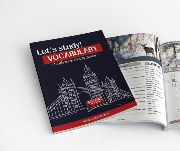 Vocabulary - Karty pracy - - obrazek 2