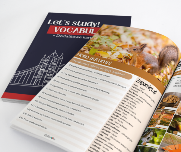 Vocabulary - Karty pracy - - obrazek 5